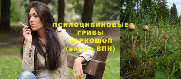 дурь Белоозёрский