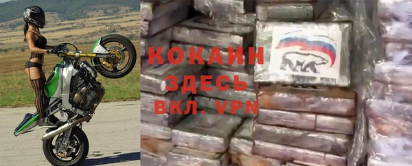 ПСИЛОЦИБИНОВЫЕ ГРИБЫ Беломорск